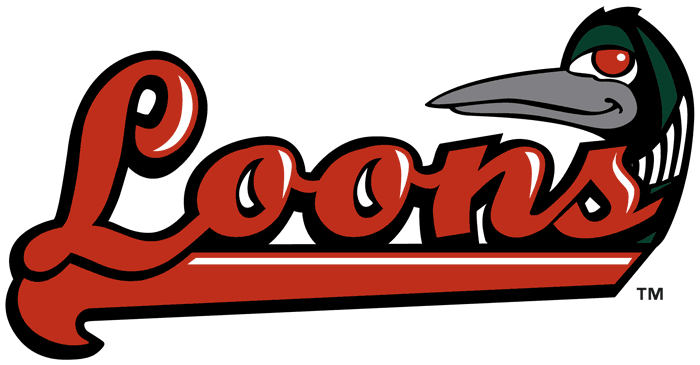 Great Lakes Loons 2007-pres wordmark logo iron on transfers for T-shirts